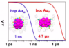 Carnegie Mellon chemists manipulate the quantum states of gold nanoclusters