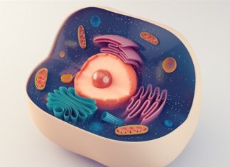 Advance in breakthrough cancer treatment eliminates serious side effects