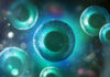 Can Anti-Aging Research Keep Us Healthy in the Long Run?