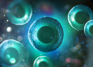 Can Anti-Aging Research Keep Us Healthy in the Long Run?