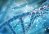 Combining DNA and RNA Testing Could Improve Precision Medicine for Cancer
