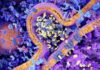 European Biotechnology in 2019 and Beyond: What’s Hot and What’s Not? – Labiotech.eu