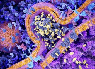 European Biotechnology in 2019 and Beyond: What’s Hot and What’s Not? – Labiotech.eu