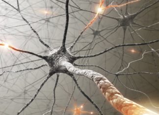 Scientific breakthrough provides new hope for people living with multiple sclerosis
