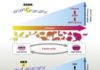 Some Versions of the Longevity Gene Are Spryer Than Others