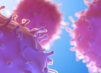 UK Scientists Engineer Cell Membrane for Long-Lasting Cell Therapy
